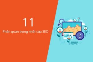11 Phần quan trọng của SEO