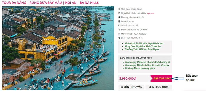 đặt tour online-web du lịch