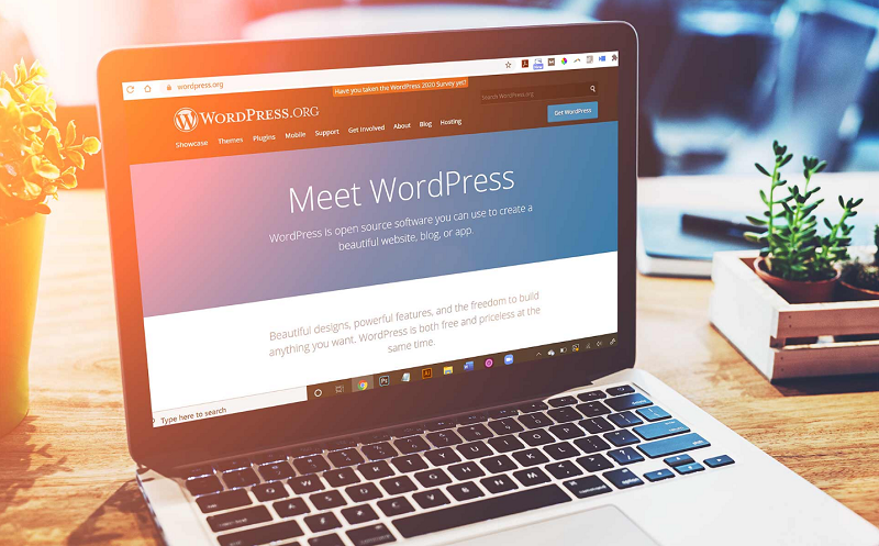 dịch-vu-thiet-ke-website-wordpress-1