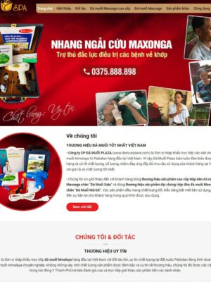 Theme wordpress bán đá muối