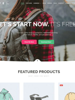 Theme wordpress bán hàng miễn phí đẹp 2021