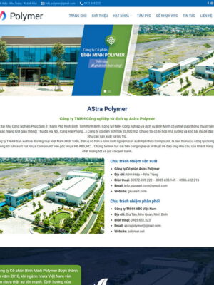 theme wordpress giới thiệu công ty 01