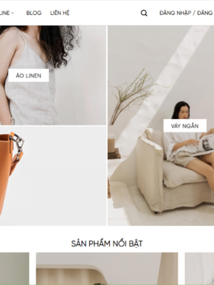 Theme wordpress thời trang đẹp 2021