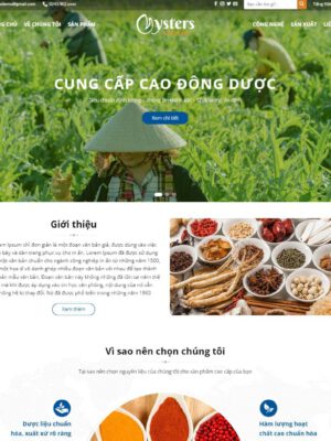Theme wordpress thực phẩm chức năng 11