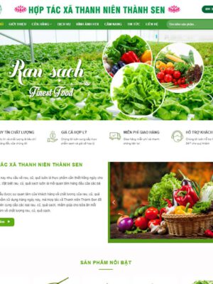 Theme wordpress thực phẩm sạch 08