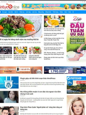 theme wordpress tin tức