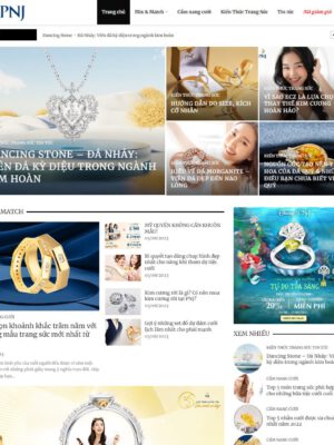Theme wordpress tin tức 22