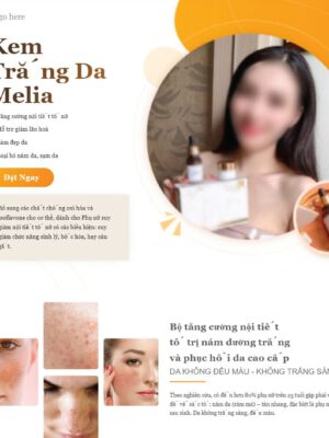 Theme wordpress landing page trị nám